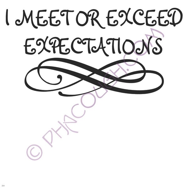 I Meet Or Exceed Expectations I Meet Or Exceed Expectations