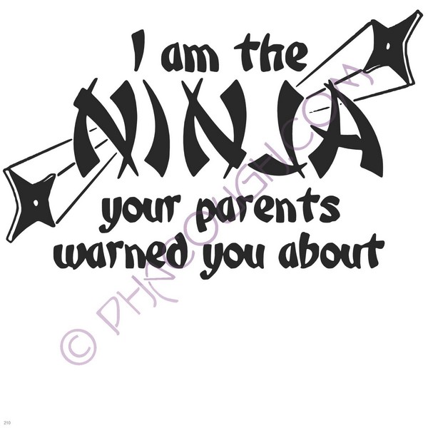 I Am The Ninja Your Parents Warned You About I Am The Ninja Your Parents Warned You About