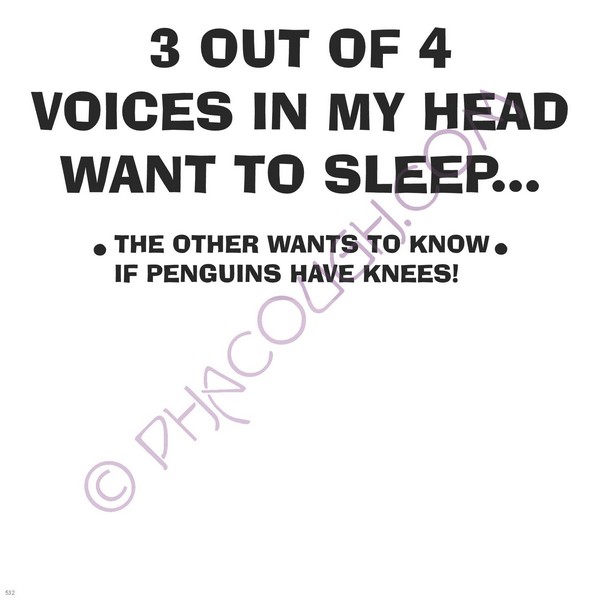 3 Out Of 4 Voices In My Head Want Me To Sleep 3 Out Of 4 Voices In My Head Want Me To Sleep