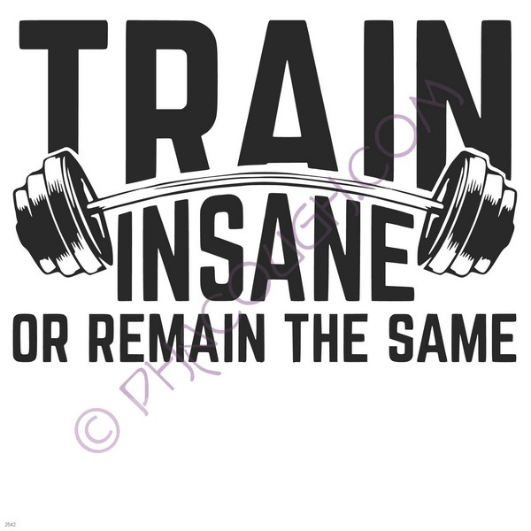 Train insane or remain the same Train insane or remain the same